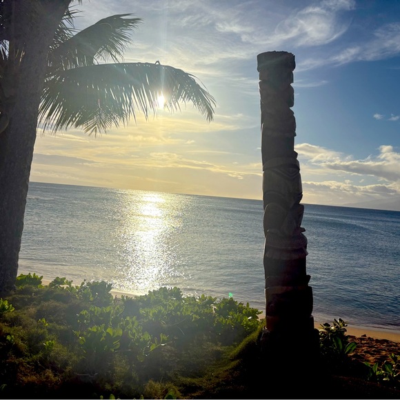 Meet your Posher, Sabrina - Picture 1 of 1